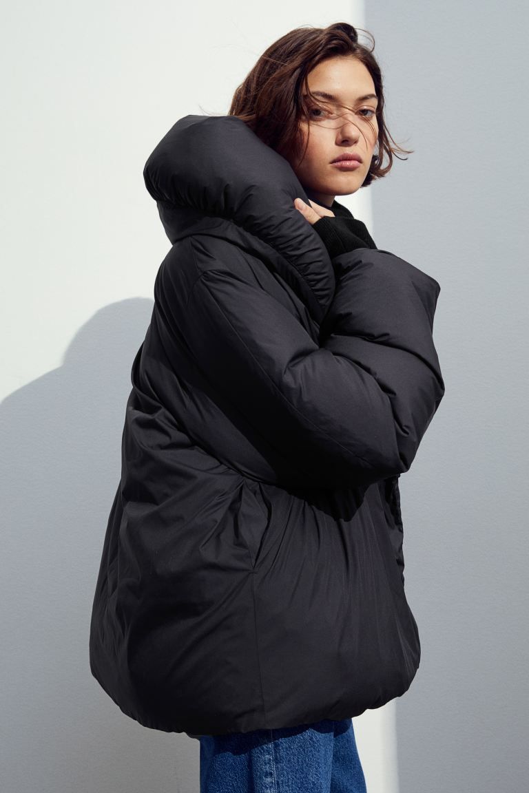 Down Jacket with Large Collar | H&M (US + CA)