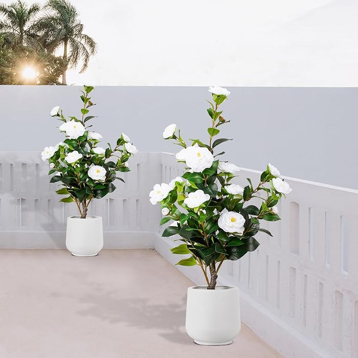 Artificial Camellia Tree 2 Pack, 3FT Faux Camellia Tree with Planter, Fake Plants Potted Camellia... | Amazon (US)