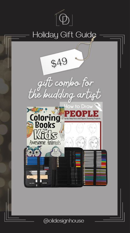 A gift combination for the young budding artist, with learn to draw books and an art kit that will make them feel like true artists! 

#LTKGiftGuide #LTKkids #LTKunder50