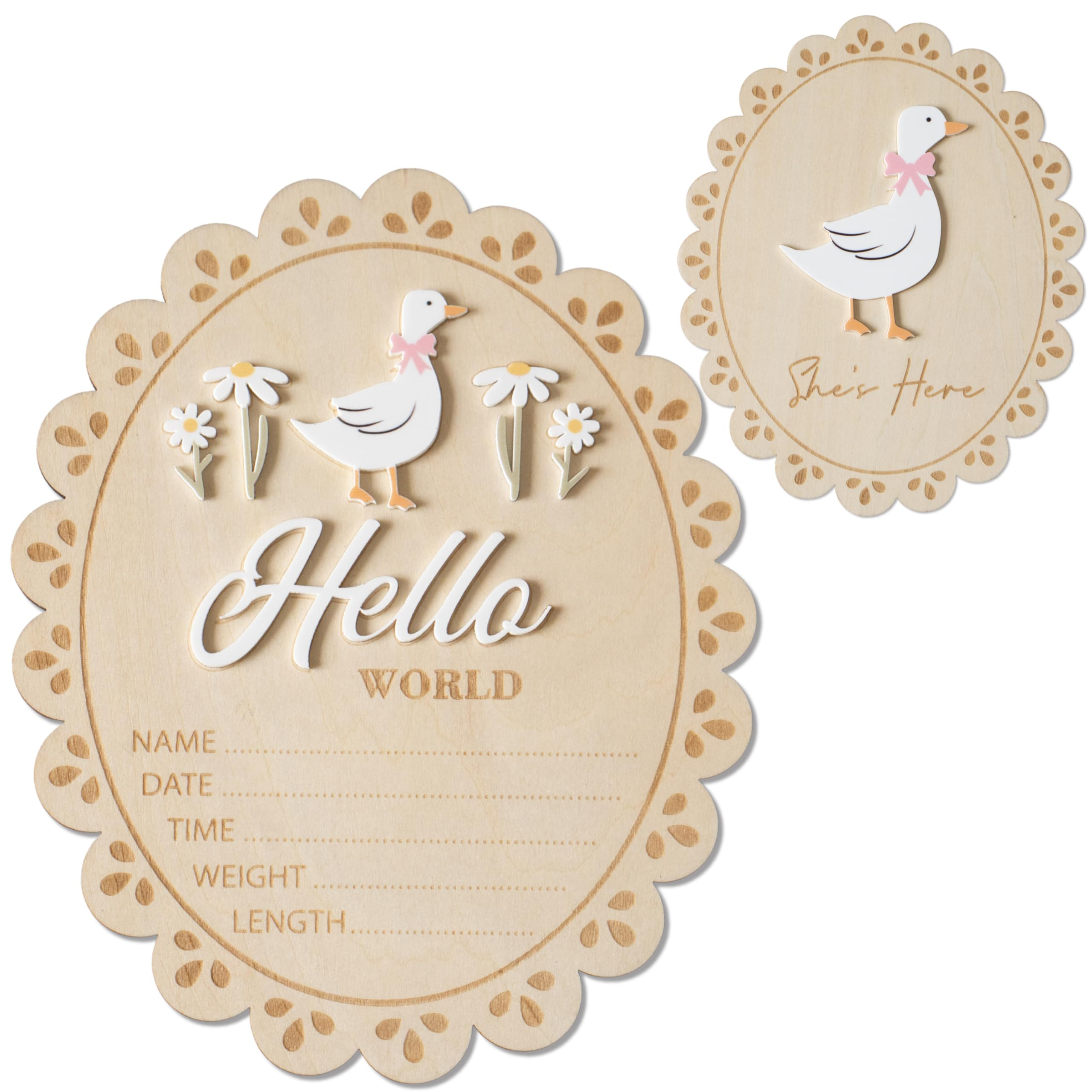 Baby Announcement Sign, Hello World Newborn Sign for Hospital, She’s Here Card, Baby Announceme... | Amazon (US)