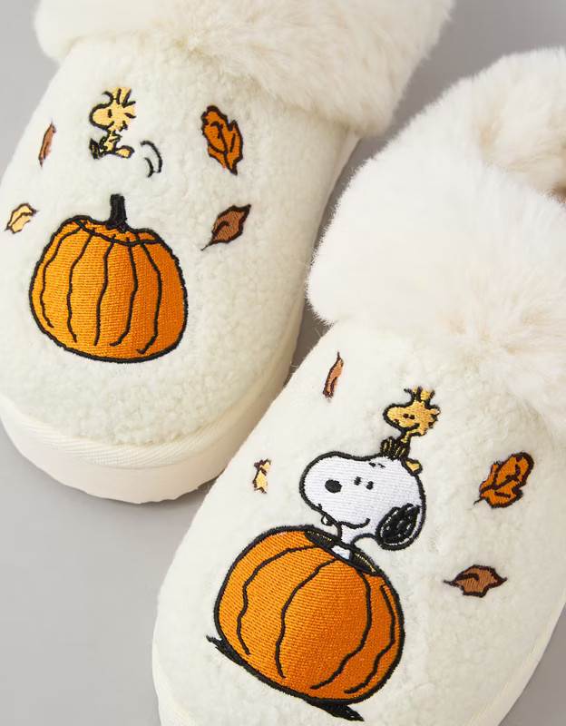 AE Fall Peanuts Slipper | American Eagle Outfitters (US & CA)