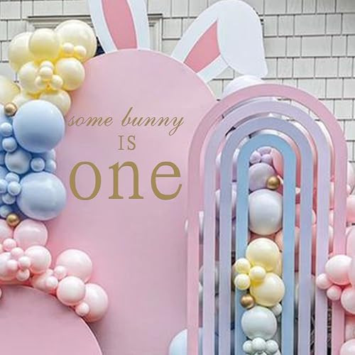 Some Bunny is one Decal - Easter Rabbit Theme First Birthday Decorations Decal, Bunny One Paty, S... | Amazon (US)
