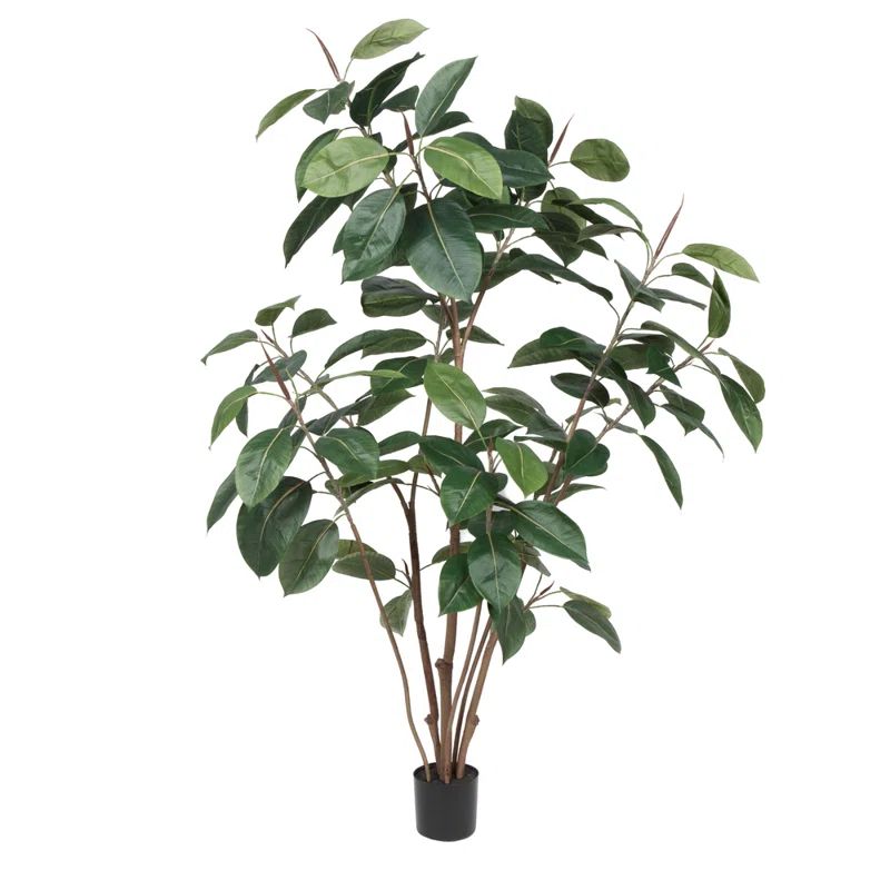 Faux Rubber Tree in Pot Liner | Wayfair North America