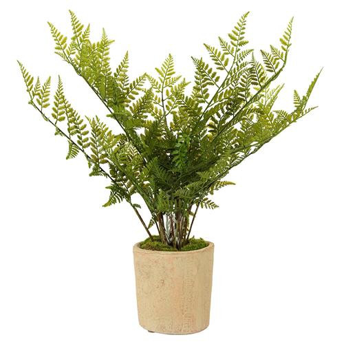 Maria Rustic Lodge Green Fern Faux Potted Plant | Kathy Kuo Home