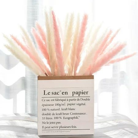 Dried Small Pampas Grass Phragmites Communis Decoration for Home Store Wedding | Walmart (US)