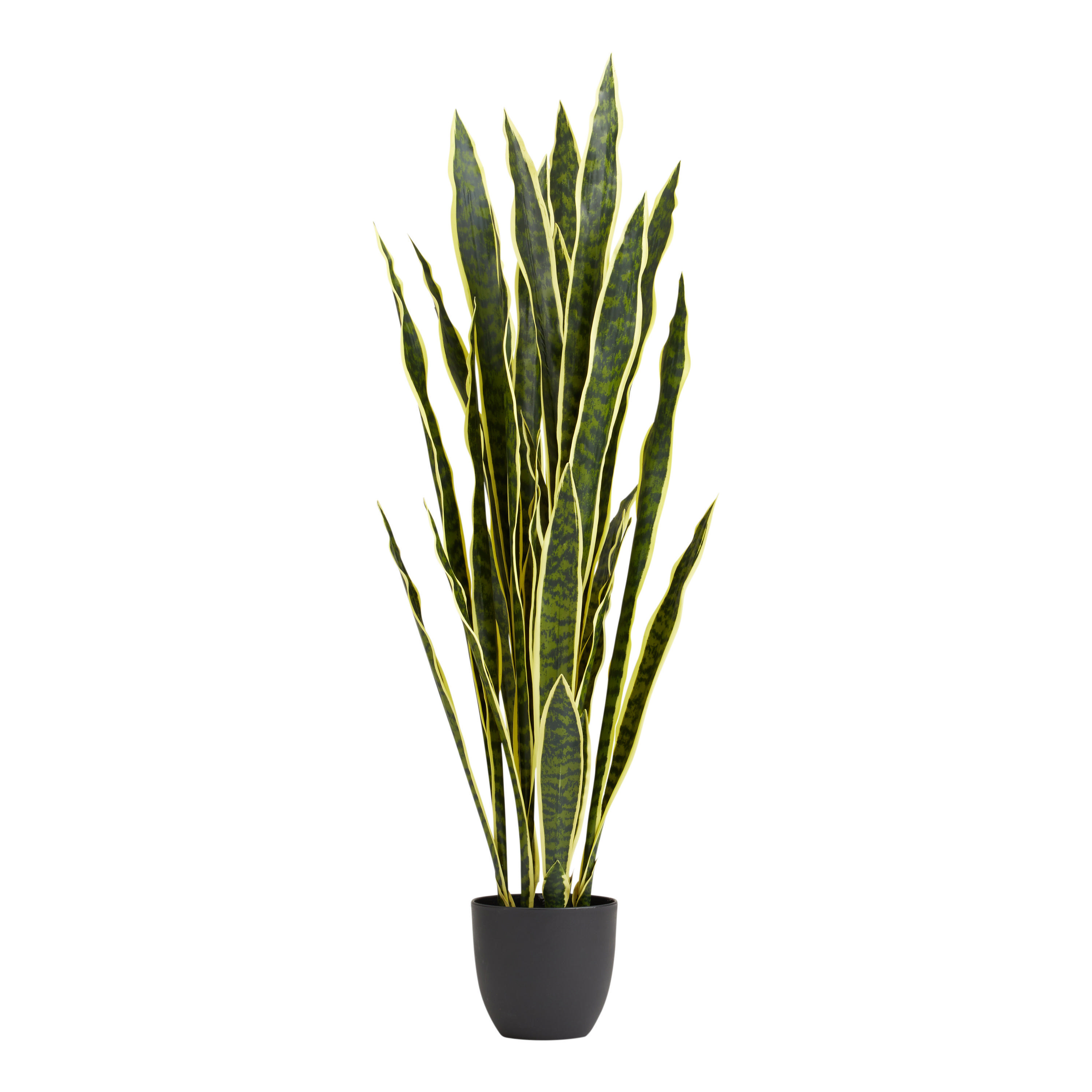 Faux Snake Plant | World Market