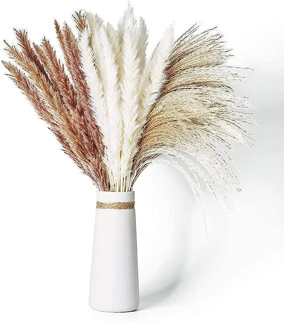Dried Pampas Grass, 60 Pcs Natural Pampas Grass with 3 Colors Fluffy Swinging DIY Boho Plant 17" ... | Amazon (US)