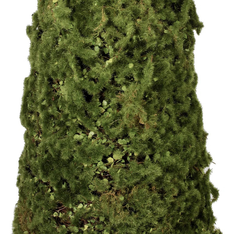 Roanoke 24'' Faux Moss Topiary | Wayfair North America
