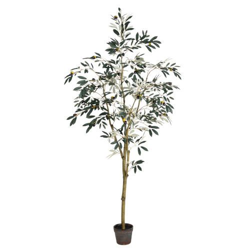 Vickerman Green 6 Feet Potted Olive Tree With 777 Leaves Tb180572 | Bellacor | Bellacor