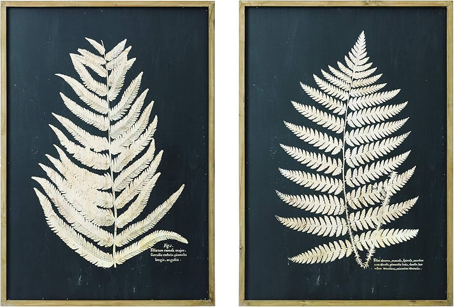 Creative Co-Op Wood Fern Leaf (Set of 2 Styles) Framed Wall Décor, Black | Amazon (US)