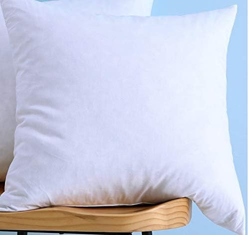 LunarTex Cotton Fabric Decorative Throw Pillow Insert, Down and Feather Throw Pillow Insert, 28X2... | Amazon (US)