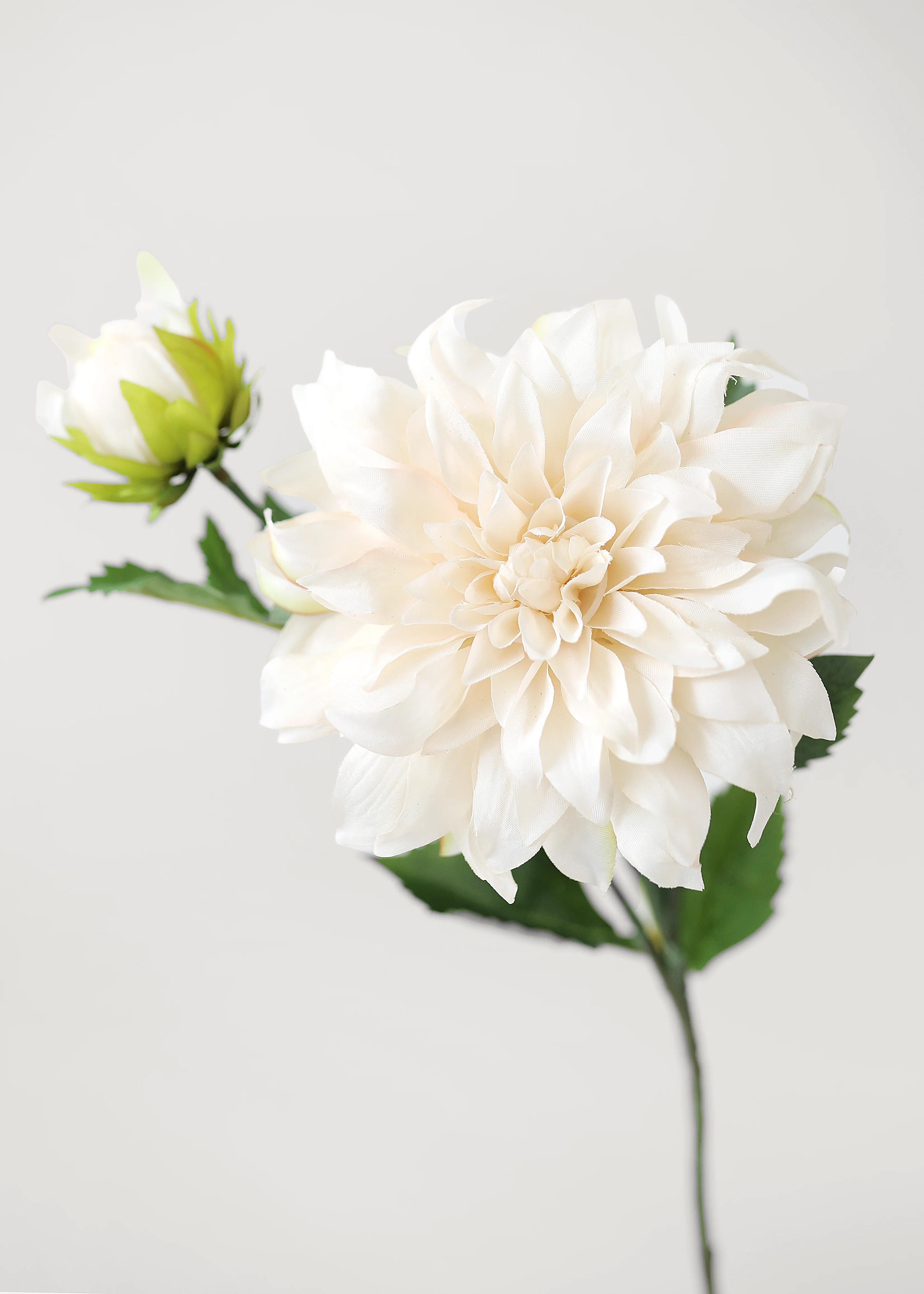 Faux Dahlia in Ivory | Best Artificial Flowers at Afloral | Afloral