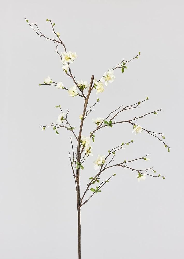 Cream Artificial Blossom Branch - 57" | Amazon (US)