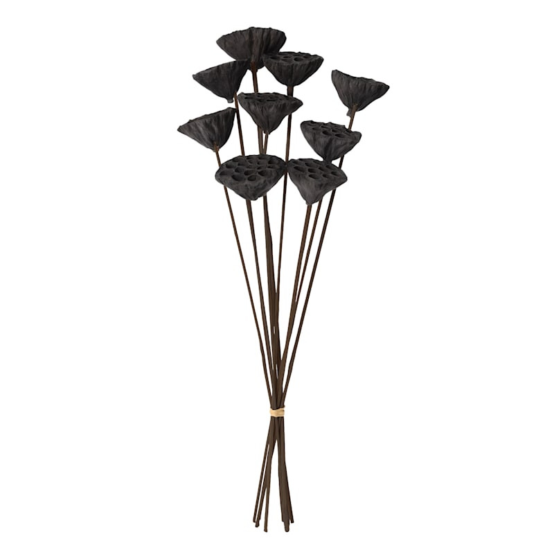 Black Lotus Pod Bunch, 24" | At Home