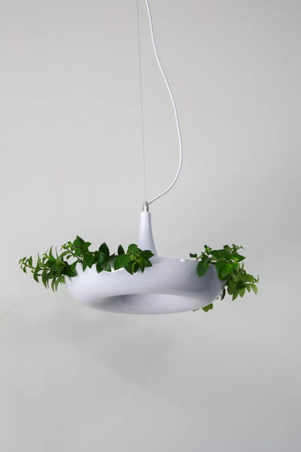 Dupe Planter Pendant Lamp | Urban Outfitters (US and RoW)
