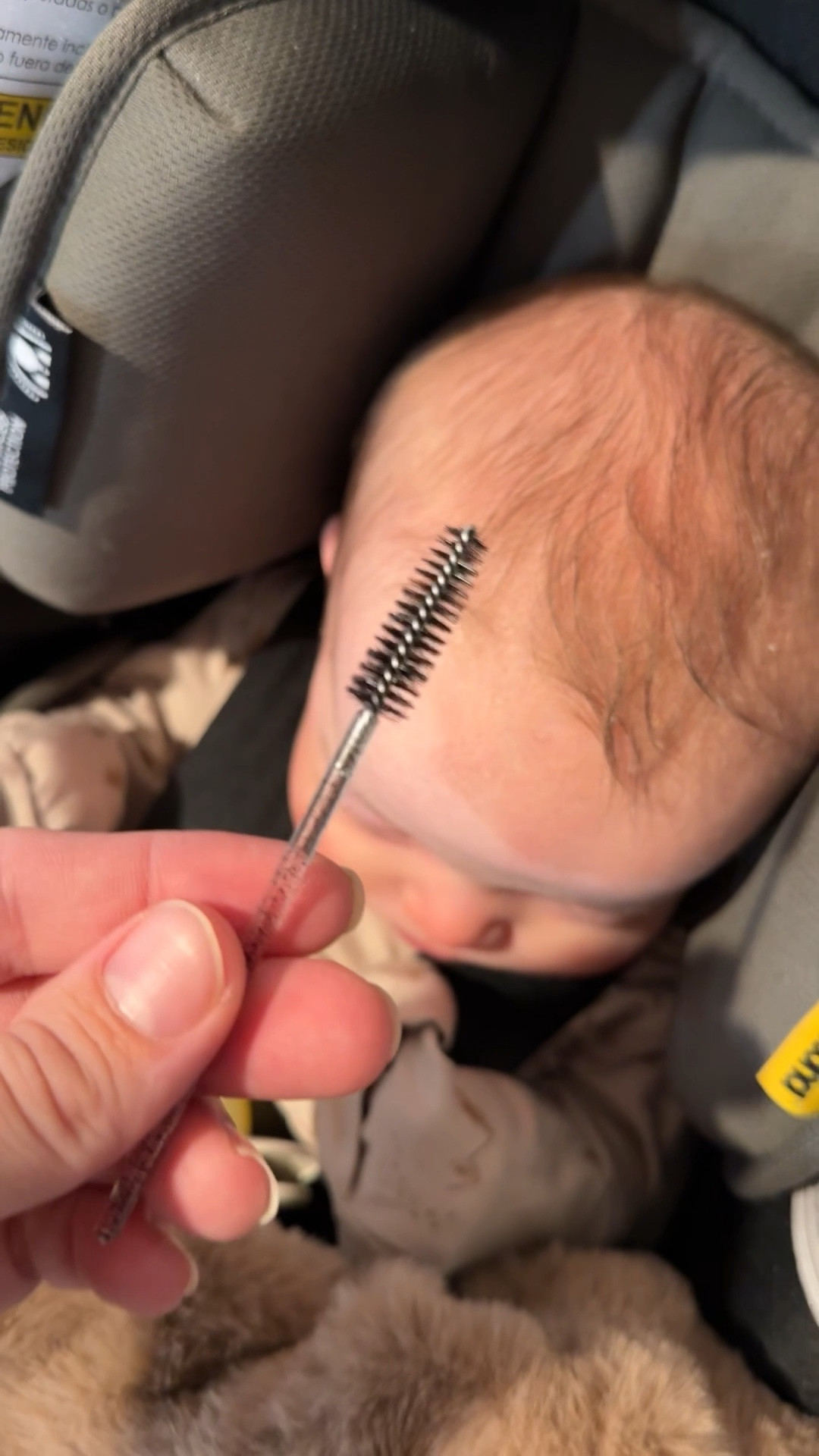 The best tool for cradle cap!

#LTKBaby #LTKBump #LTKmomlife