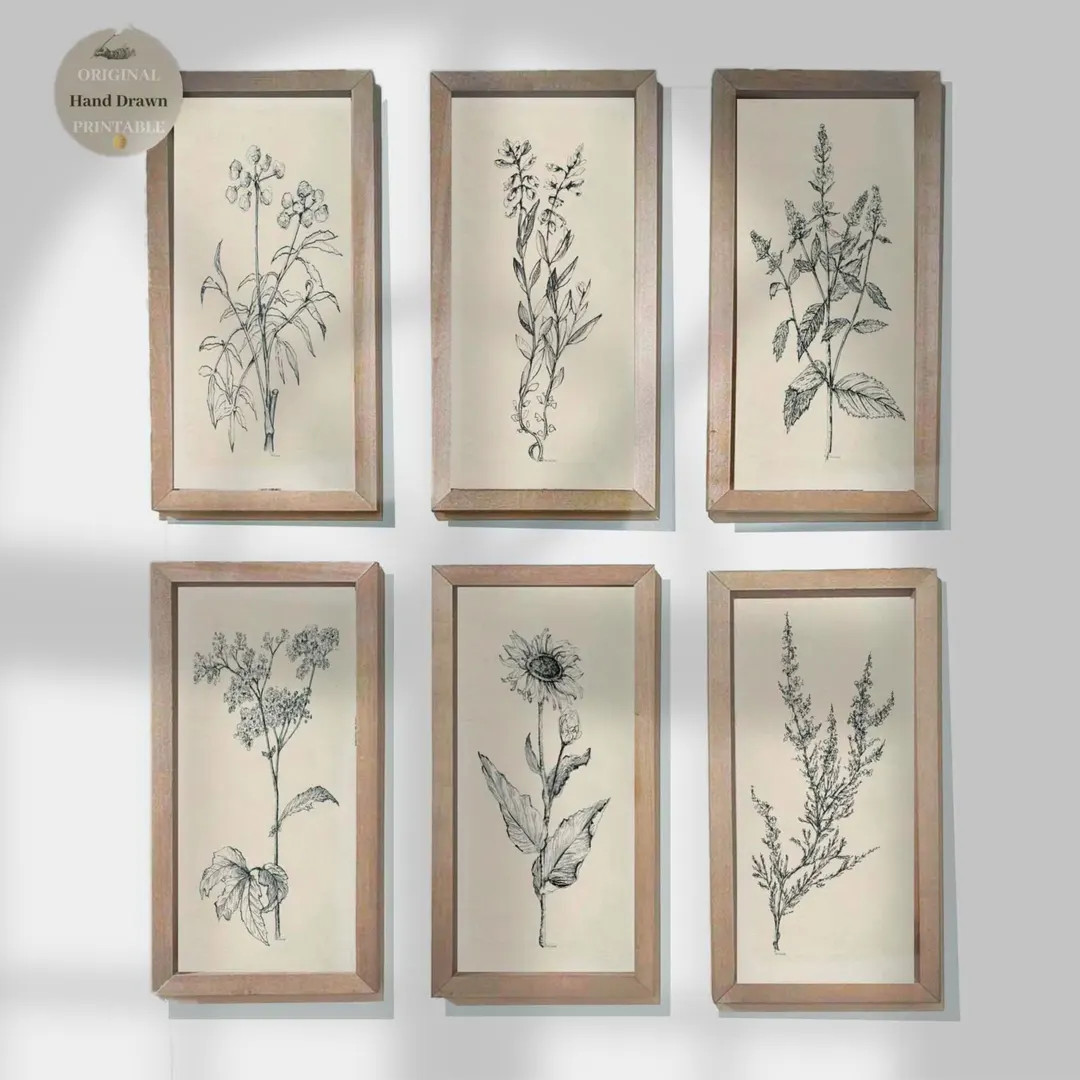 SET of 6 six Black and white Vintage Botanical Sketch Print Antique Elegant Flower Art Minimalist... | Etsy (US)