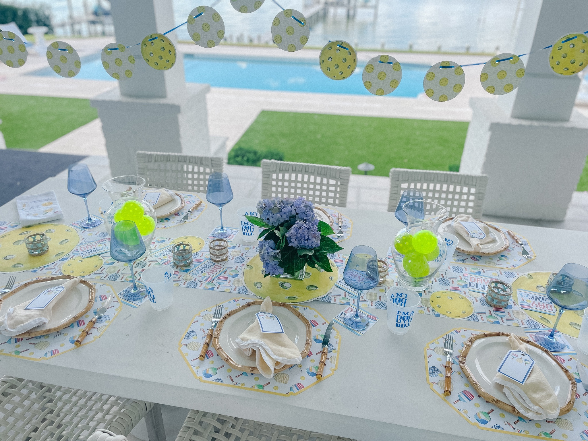 Pickleball party with rosanne beck 

#LTKparties #LTKSeasonal #LTKfindsunder50