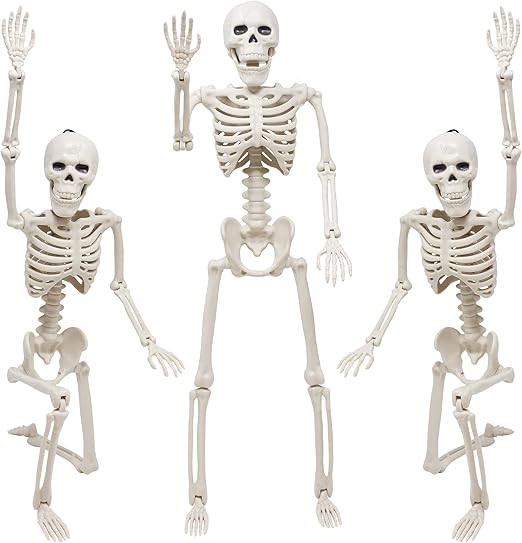 Skeleton Halloween Decoration, 3 Packs 16" Posable Halloween Skeletons, Full Body Posable Joints ... | Amazon (US)