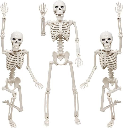 Skeleton Halloween Decoration, 3 Packs 16" Posable Halloween Skeletons, Full Body Posable Joints ... | Amazon (US)
