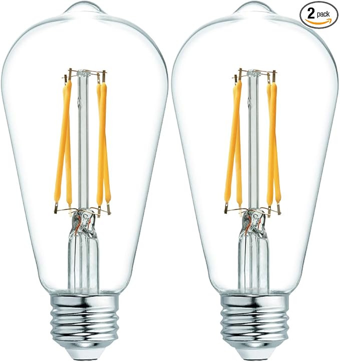 GE Vintage Clear Finish Glass 60W Replacement LED Light Bulbs, ST19, 2-Pack, Warm Candle, Dimmabl... | Amazon (US)