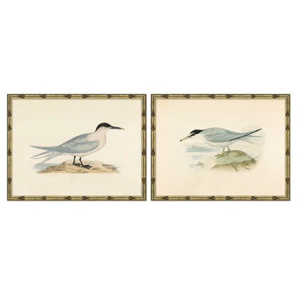 Sea Bird by Soicher Marin | Wayfair North America