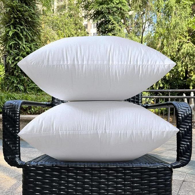 LEMONWORLD 12 x 20 Pillow Insert Set of 2 Outdoor Pillow Inserts Waterproof Small Lumbar Pillow I... | Amazon (US)