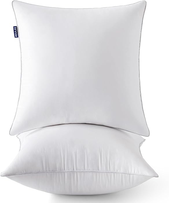 MIULEE 20 x 20 Pillow Inserts (Set of 2) -Throw Pillows for Couch Sofa with 100% Cotton Covers | Amazon (US)
