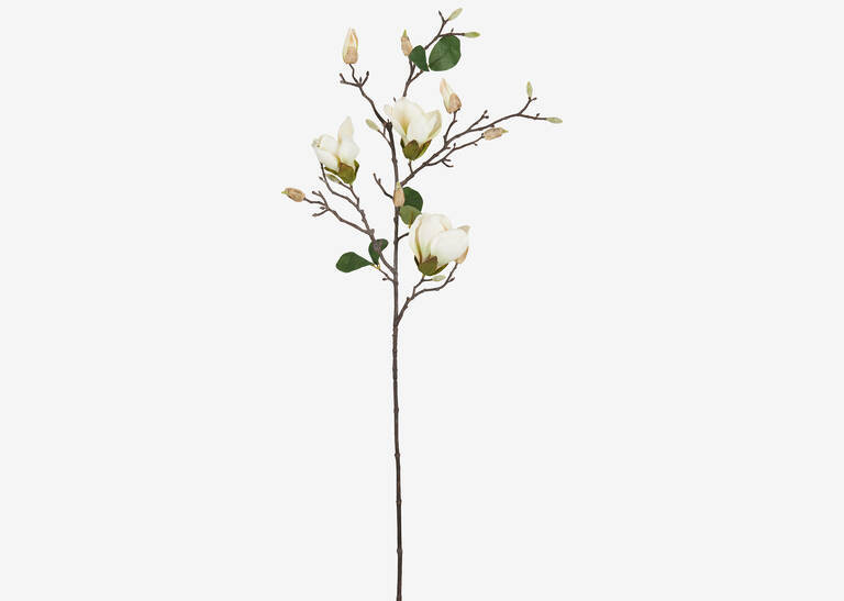 Keery Magnolia Branch Ivory | Urban Barn