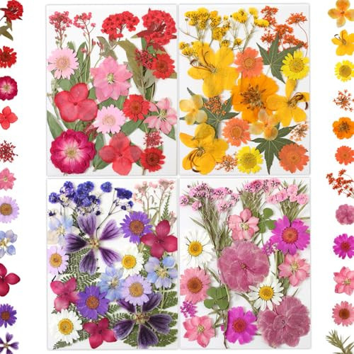 LUXEEASE 80P Yellow Red Pink Blue Dried Pressed Flowers | Amazon (US)