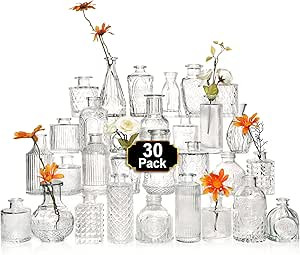 Glass Bud Vase Set of 30 Pcs，Small Glass Vases for Flowers，Clear Bud Vases in Bulk，Vintage ... | Amazon (US)