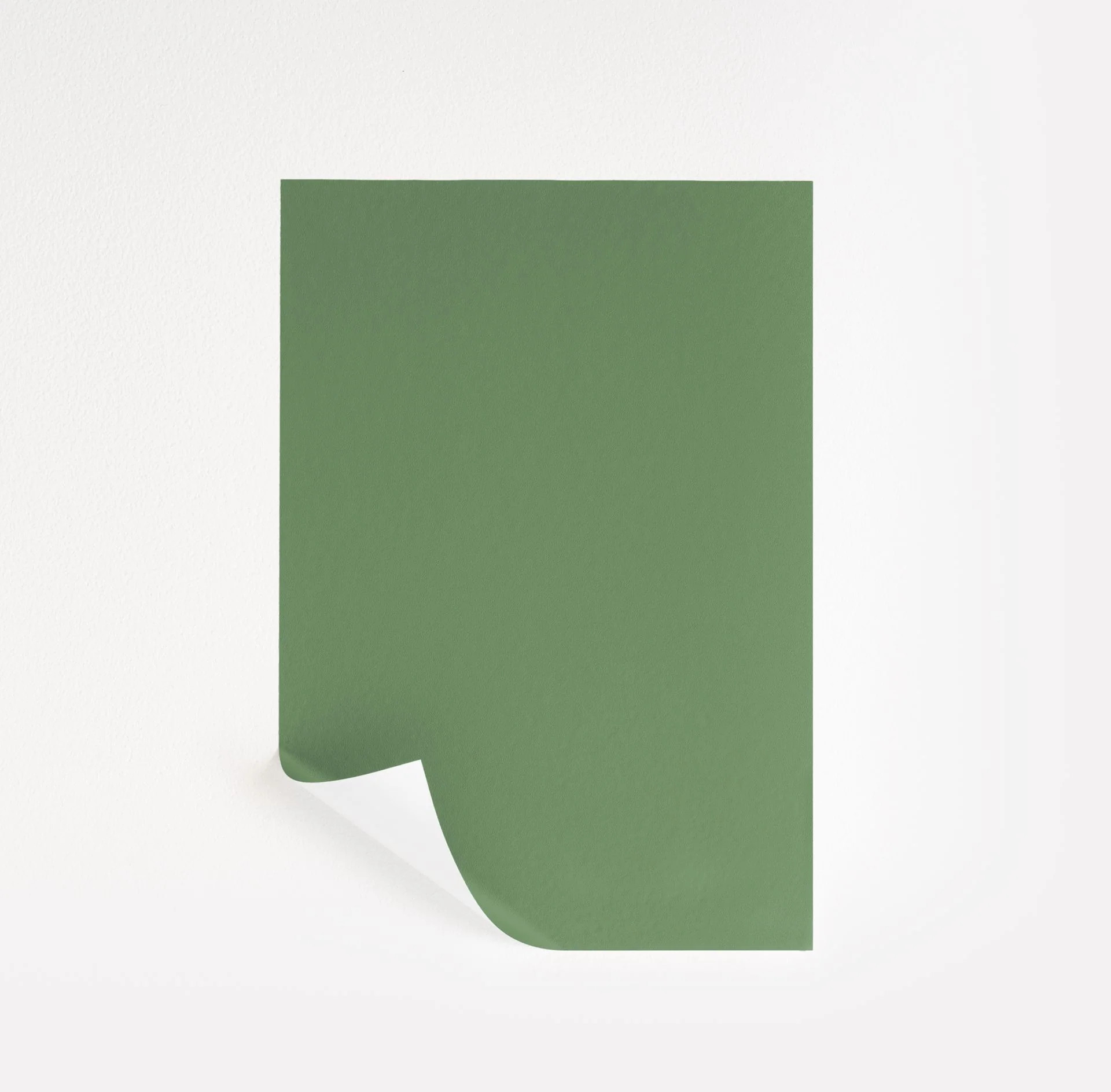 Reseda Green  Paint Sample | Samplize
