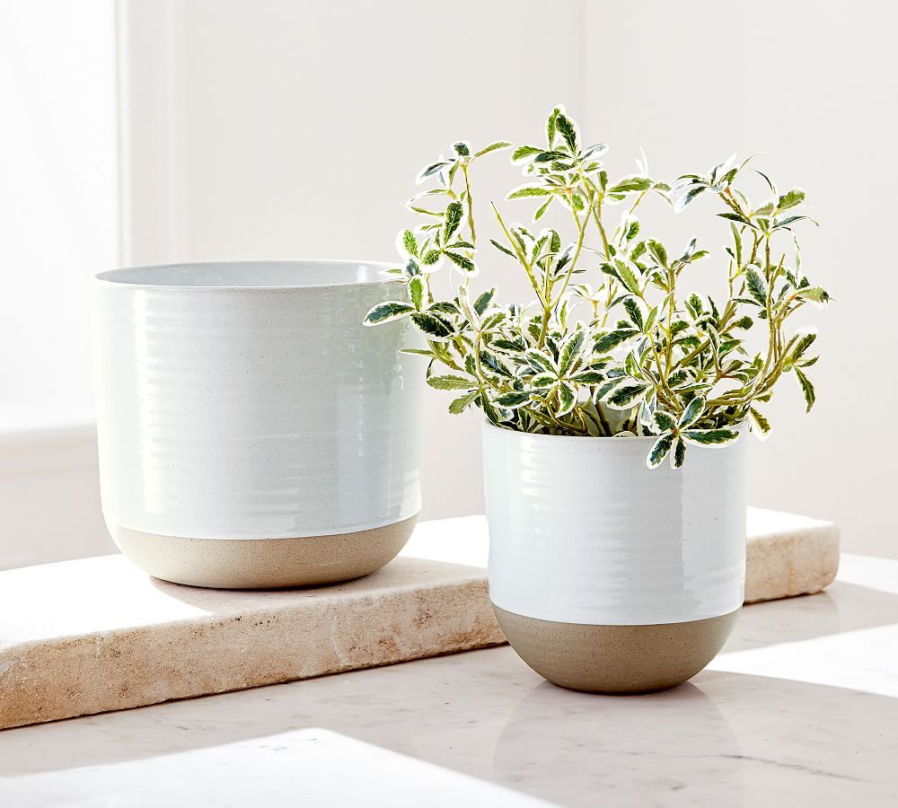 Quinn Stoneware Outdoor Planters | Pottery Barn (US)