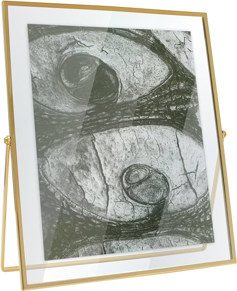 MIMOSA MOMENTS Brass Metal Floating Picture Frame (Brass, 8x10) | Amazon (US)