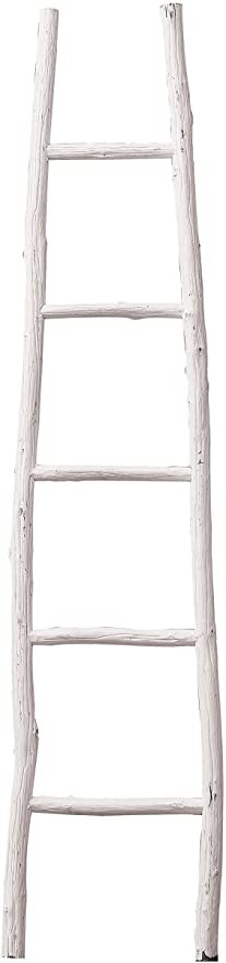 Creative Co-Op Decorative Painter Wood Blanket Ladder, White | Amazon (US)