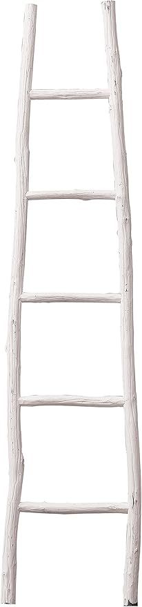 Creative Co-op DA1901 Decorative Painter Wood Blanket Ladder, White | Amazon (US)