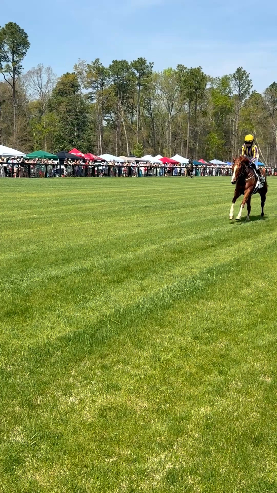 I love living in horse town! 🐎

Spring steeplechase was this weekend and it was so much fun! 

I love watching the races, but I also love to people watch! I love seeing all of the bright colorful spring dresses 👗

#LTKfoodie #LTKdayinmylife #LTKTravel
