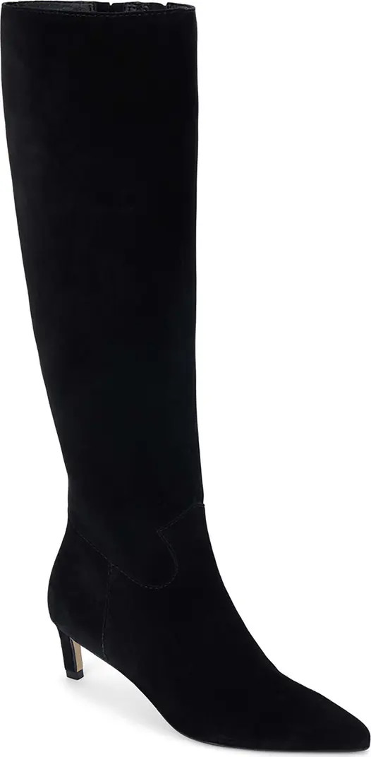 Matisse Elevate Pointed Toe Knee High Kitten Heel Boot (Women) | Nordstrom | Nordstrom