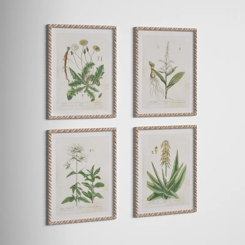 Kelly Clarkson Home Eucidna 'Vintage Botanical Study' - 4 Piece Picture Frame Print Set on Paper ... | Wayfair North America