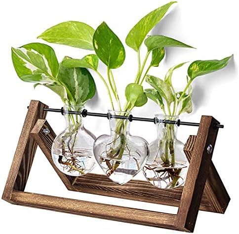 XXXFLOWER Plant Propagation Stations Terrarium with Wooden Stand, Air Planter Bulb Glass Vase，Indoor | Amazon (US)