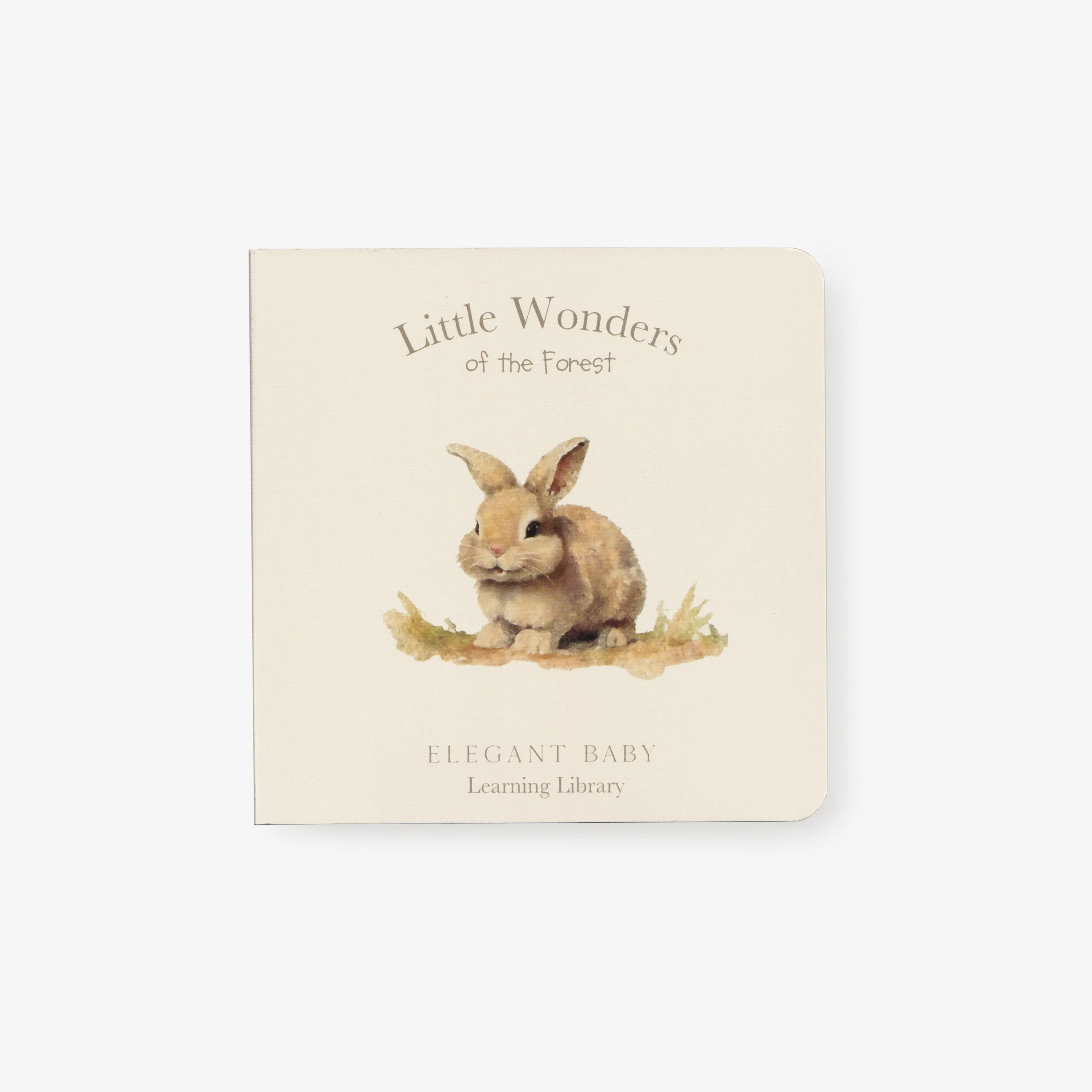 Little Wonders Forest Board Book | Elegant Baby