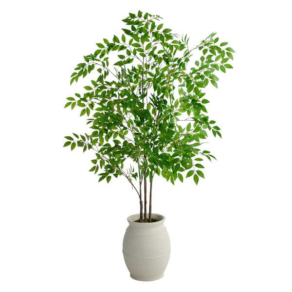 Green Leaf Tree in Magnesia Pot, 60"








	
		
		
			
				4.7
			
			
				(
				6
				)
			
		... | At Home
