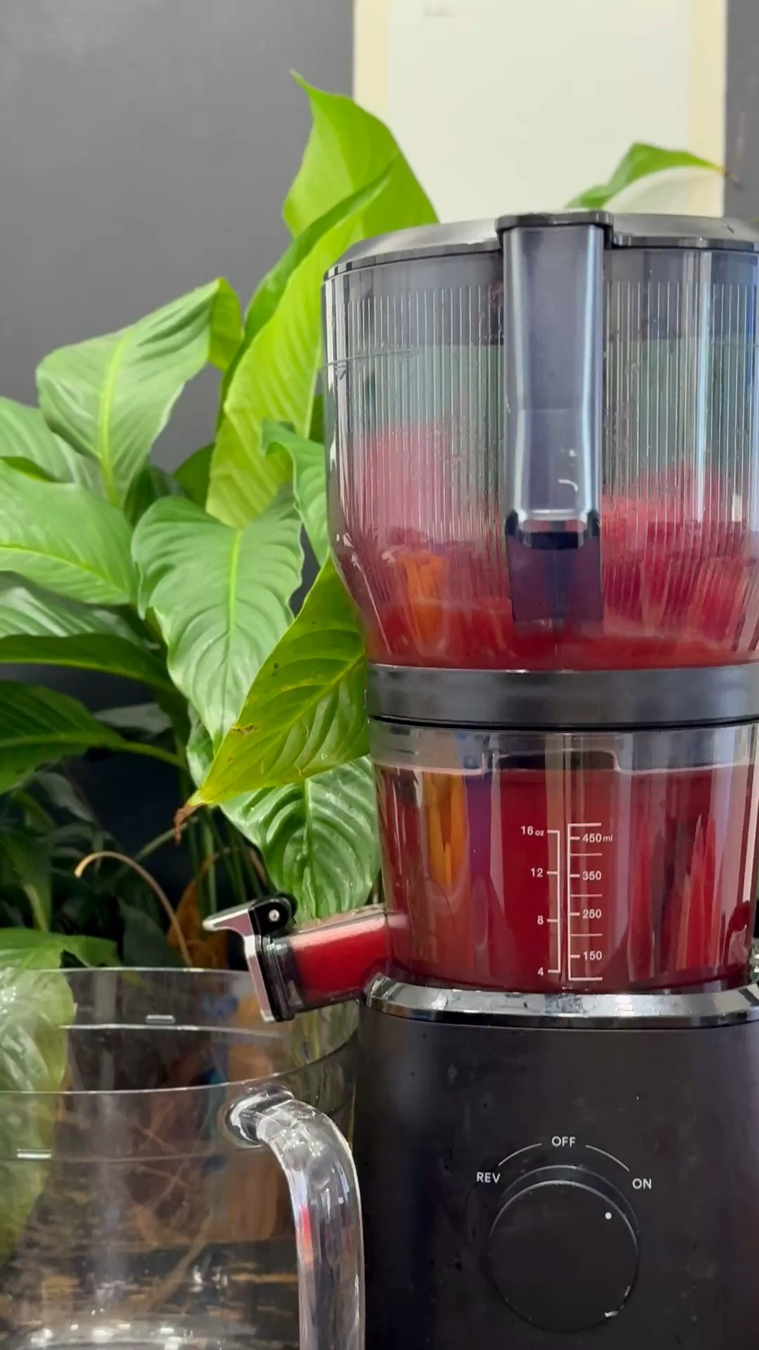 WANT TO MAKE FRESH JUICE AT HOME? START HERE! 🍍🥬✨

The Nama J2 Cold Press Juicer has been part of my routine for years, and I LOVE how easy it makes batch juicing! Fresh juice for the week, more variety in my routine and less time spent feeding produce into the machine. 💚

INVEST IN THE BEST! 🛍️ Shop my Nama J2 on my LTK!

#JuicingJourney #NamaJ2 #HealthyHabits #LTKFinds
