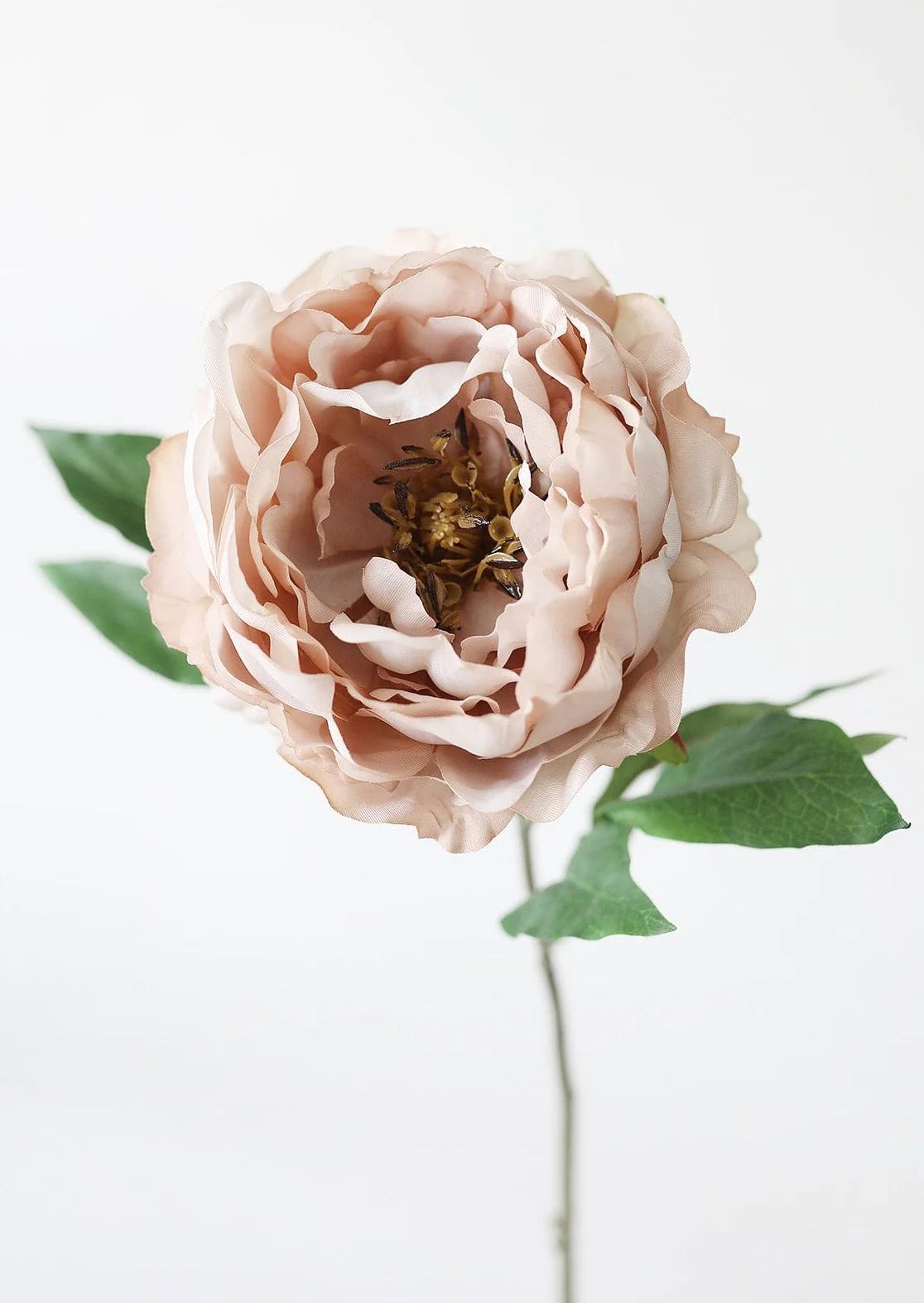Silk Peony in Taupe Mauve - 18" | Afloral