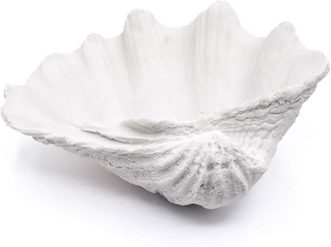 Seashell Decorative Bowl Clam Shell Decor Bowl Nautical Home Decor Coastal Bathroom Decor Beach P... | Amazon (US)