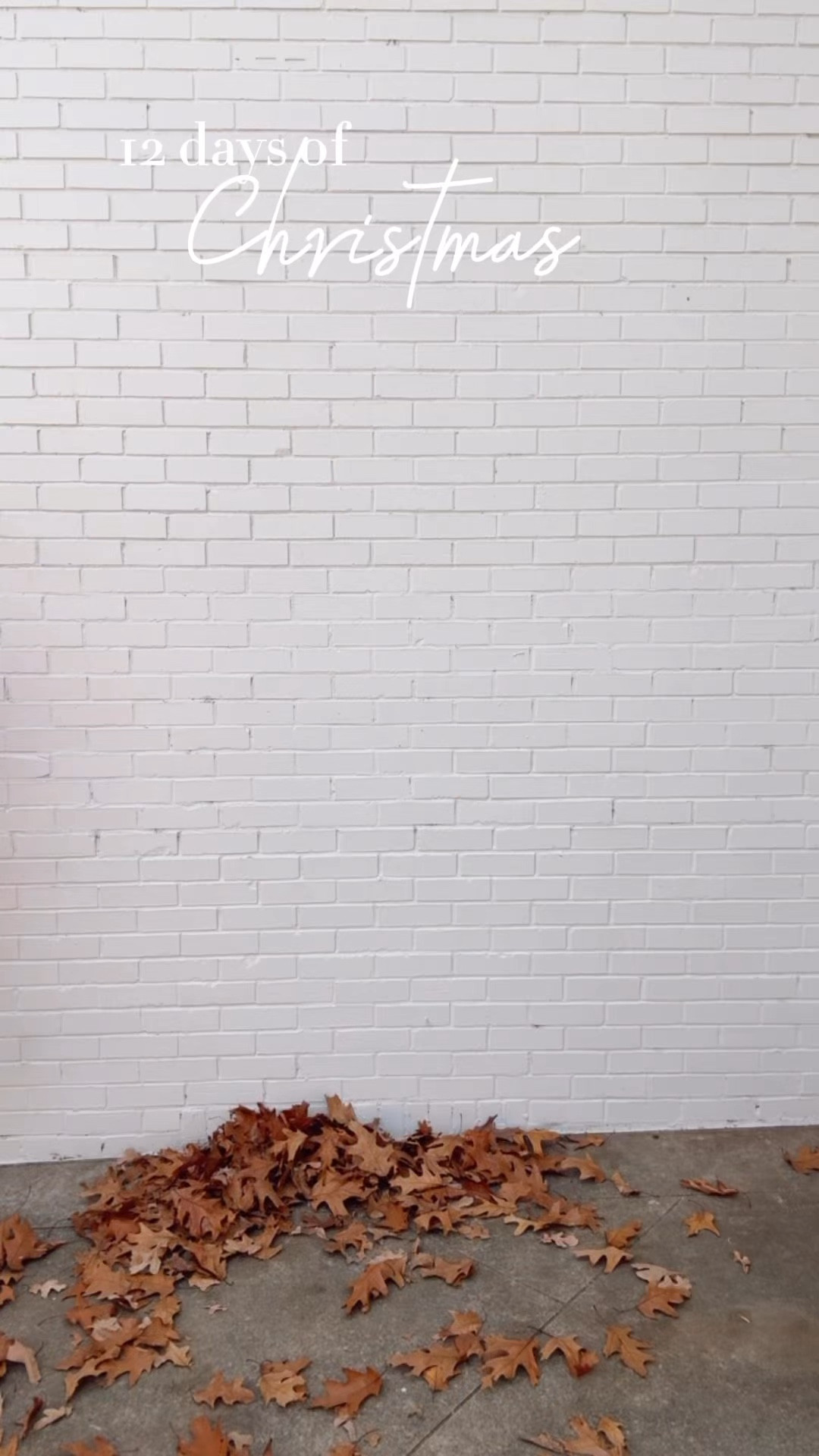 Santa + stripes… Amazon for the win! 