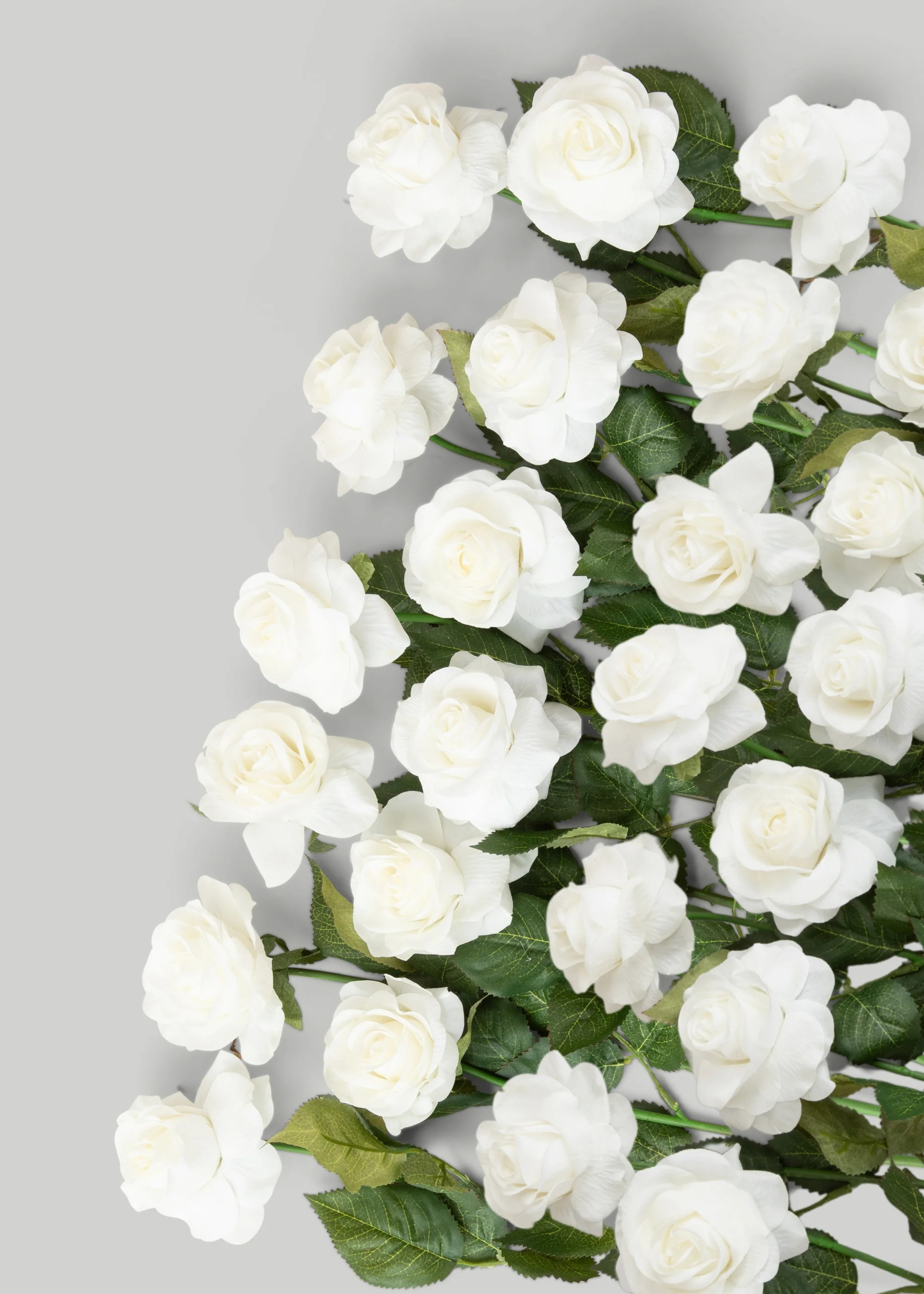 Case of Real Touch Roses in Ivory | Bulk Artificial Flowers | Afloral | Afloral