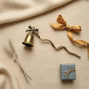 ZOOYOO Candle Snuffer,Vintage Candle Extinguisher Snuffers with Long Handle,Unique Candle Tool fo... | Amazon (US)