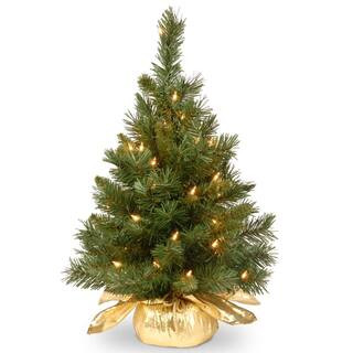 National Tree Company 24 in. Majestic Fir Tree with Clear Lights MJ3-24GDLO-1 - The Home Depot | The Home Depot