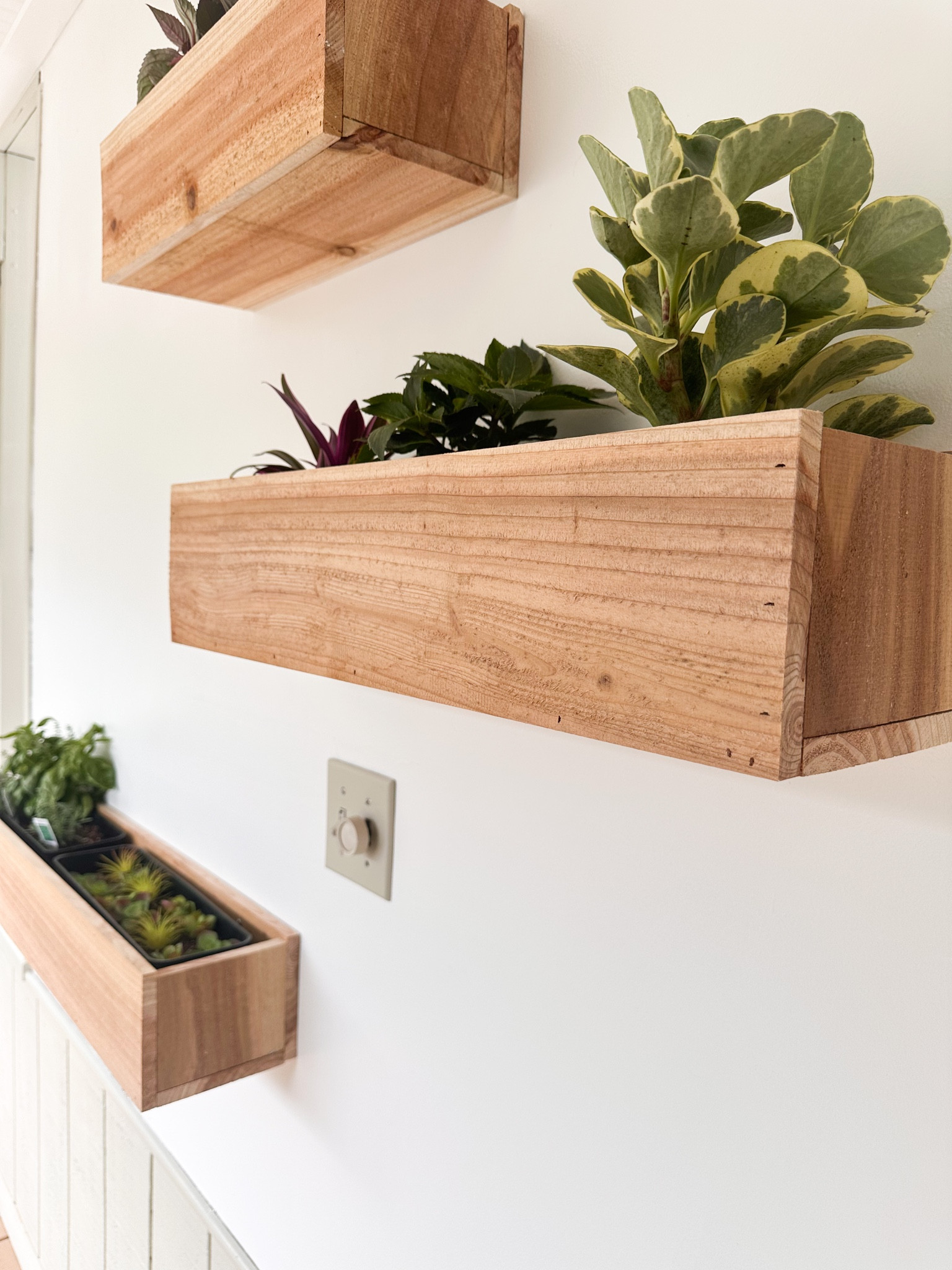 DIY Flower Boxes

#LTKU #LTKhome #LTKstyletip